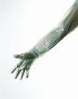 Handschuh Clinhand Grn 90 cm